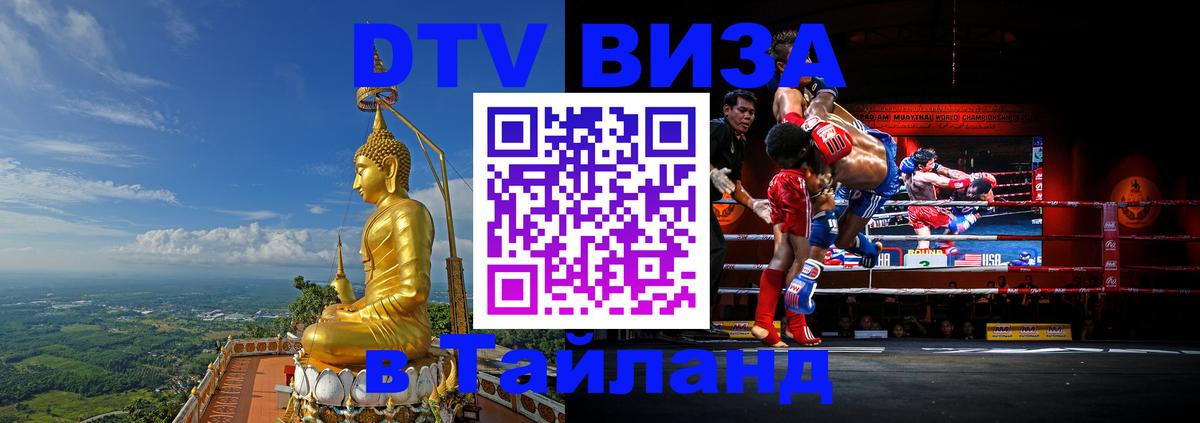 Оформление DTV визы под ключ: стоимость и тарифы, только загранпаспорт - 